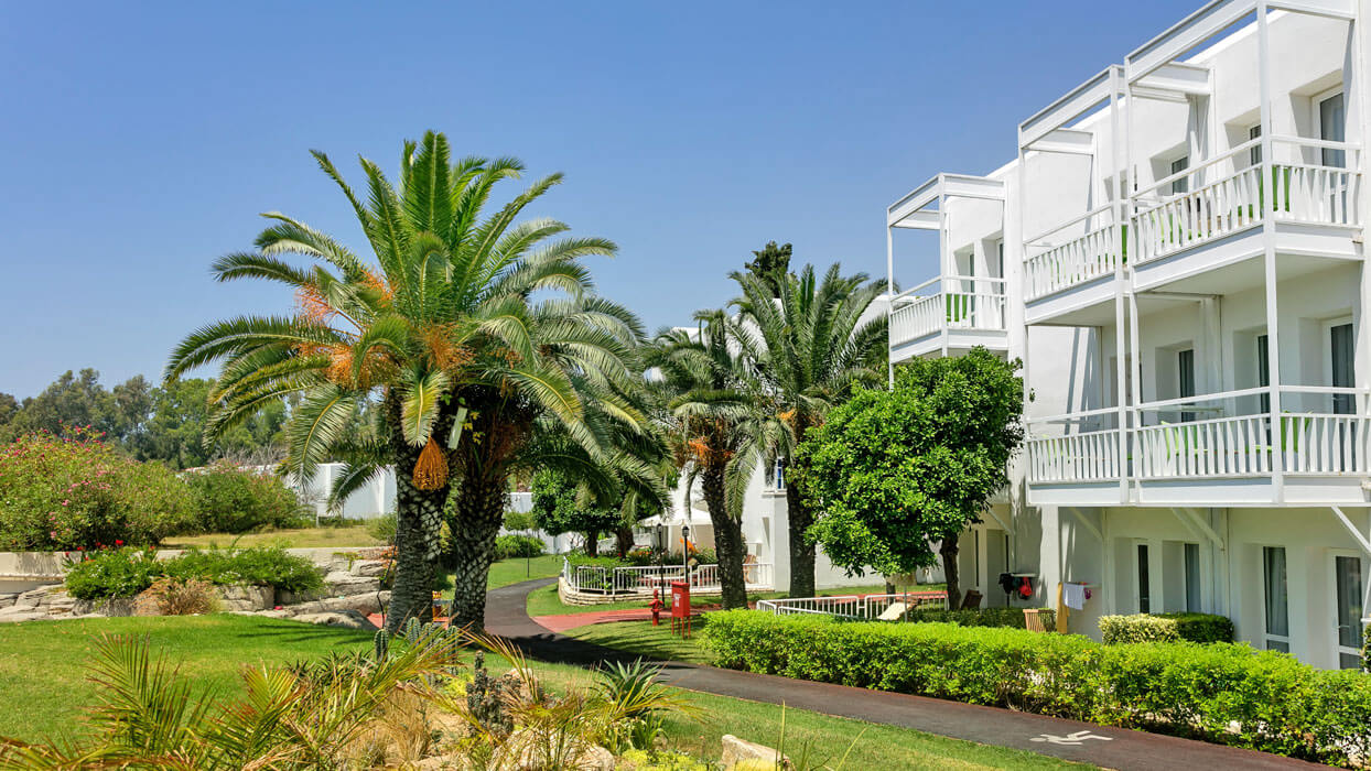 Seven Seas Hotel Blue - palmy w ogrodzie