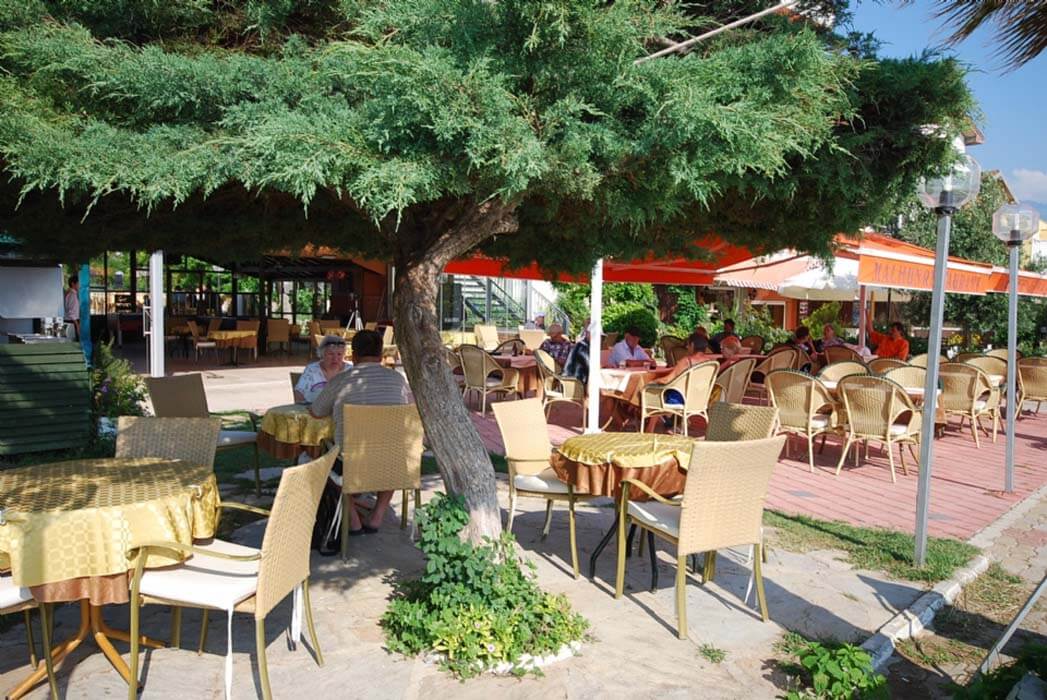 Hotel Malhun - drzewo przy restauracji