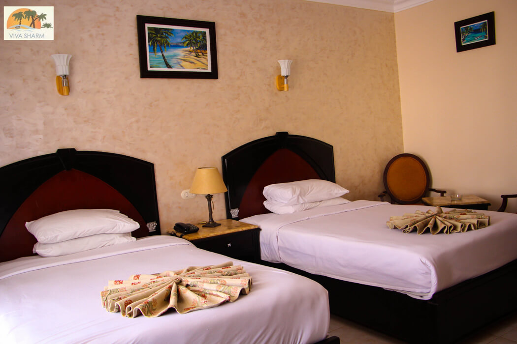 Viva Sharm Hotel - pokój standardowy