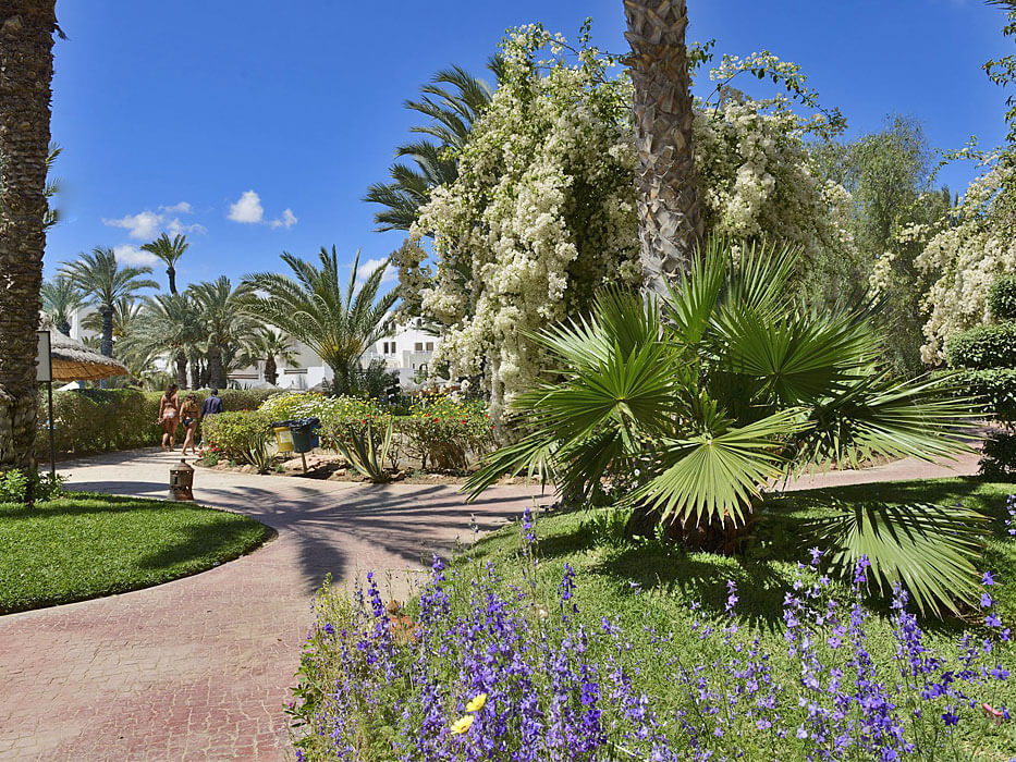 Hotel Djerba Resort - jedna z alejek