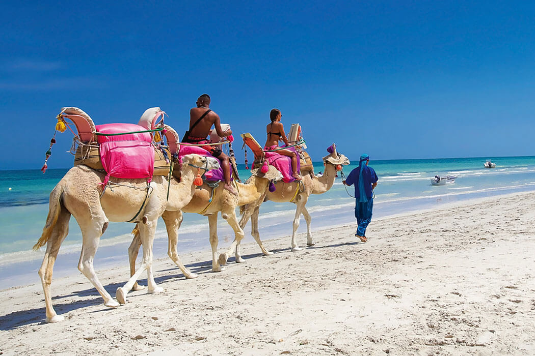Hotel Djerba Plaza Thalasso & Spa - na plaży