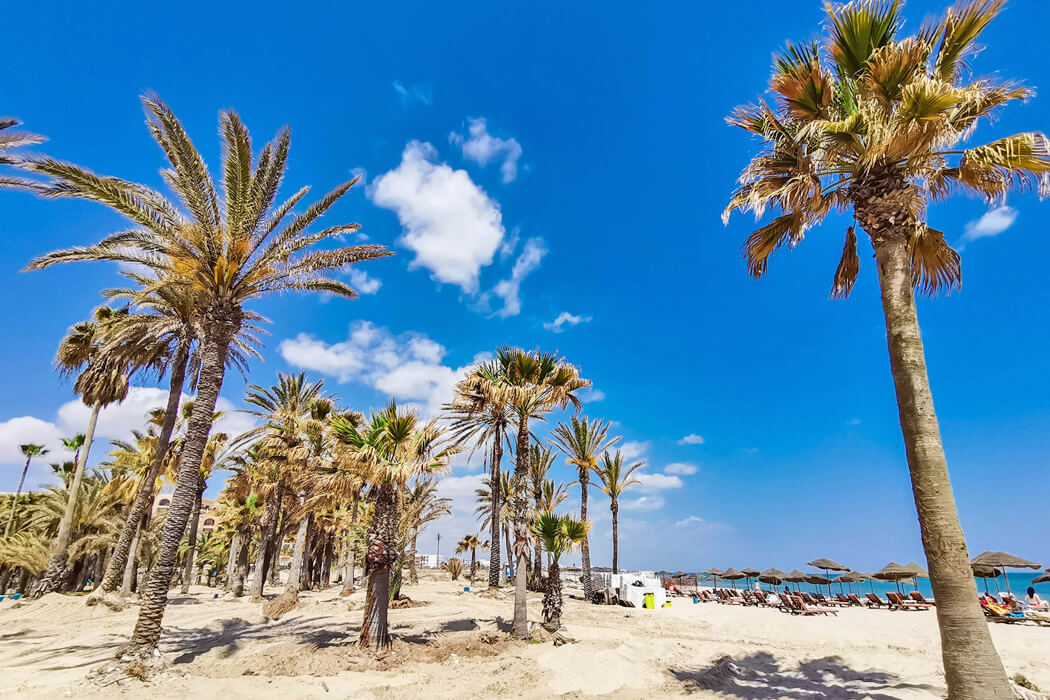 Hotel Riadh Palms Resort & Spa - palmy