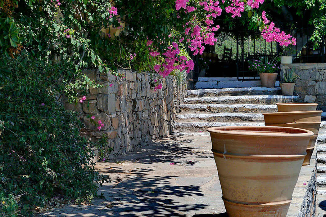 Hotel Arolithos Traditional Cretan Village - kwiaty