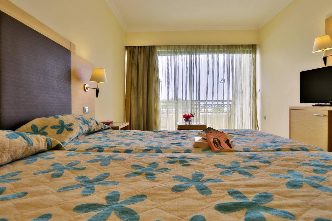 Double room garden view - pool view 