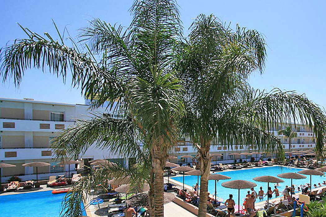 Hotel Dodeca Sea Resort - palmy przy basenie
