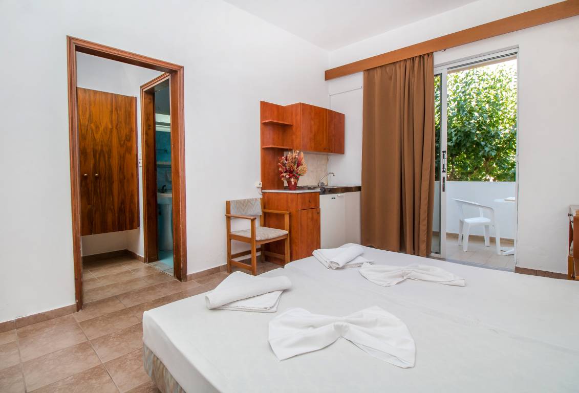 Studio Double Balcony 