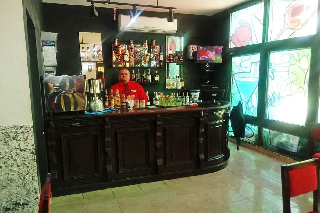 Hotel Tulipan - bar